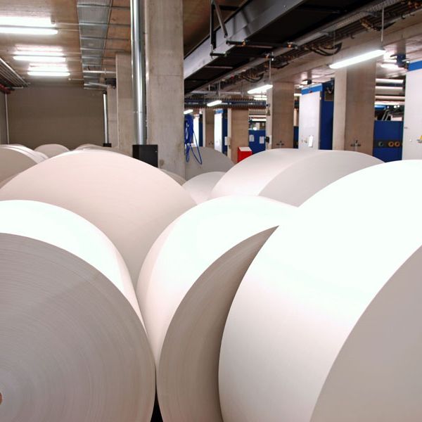 Yếu tố nào sẽ giúp doanh nghiệp sản xuất giấy bao bì tăng trưởng?