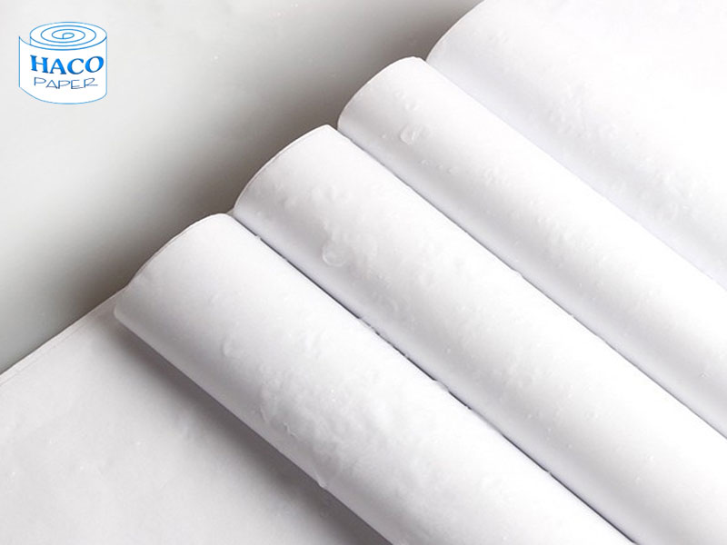 CÔNG TY TNHH GIẤY HA CO